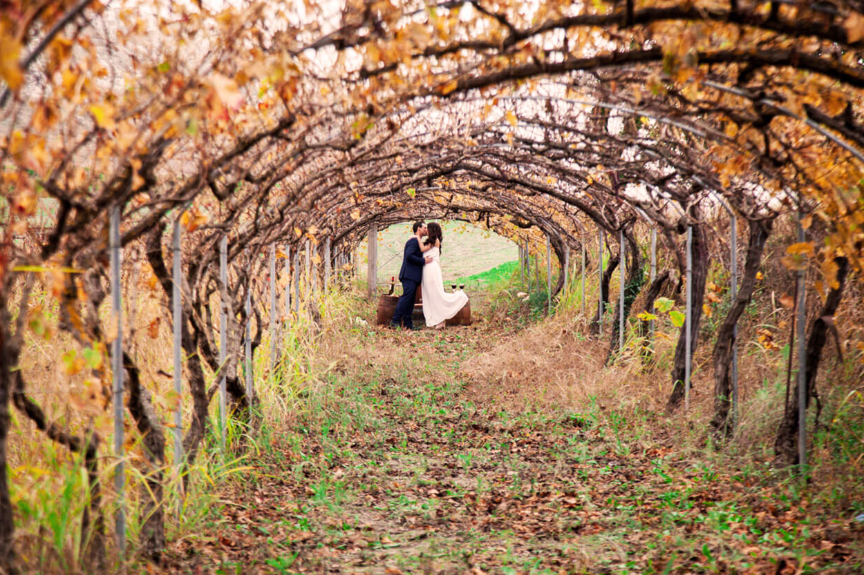 Wedding in a vineyard